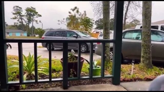 флоридаялта: 🔴 В каком доме будет дальше жить? 🔴 смотреть онлайн