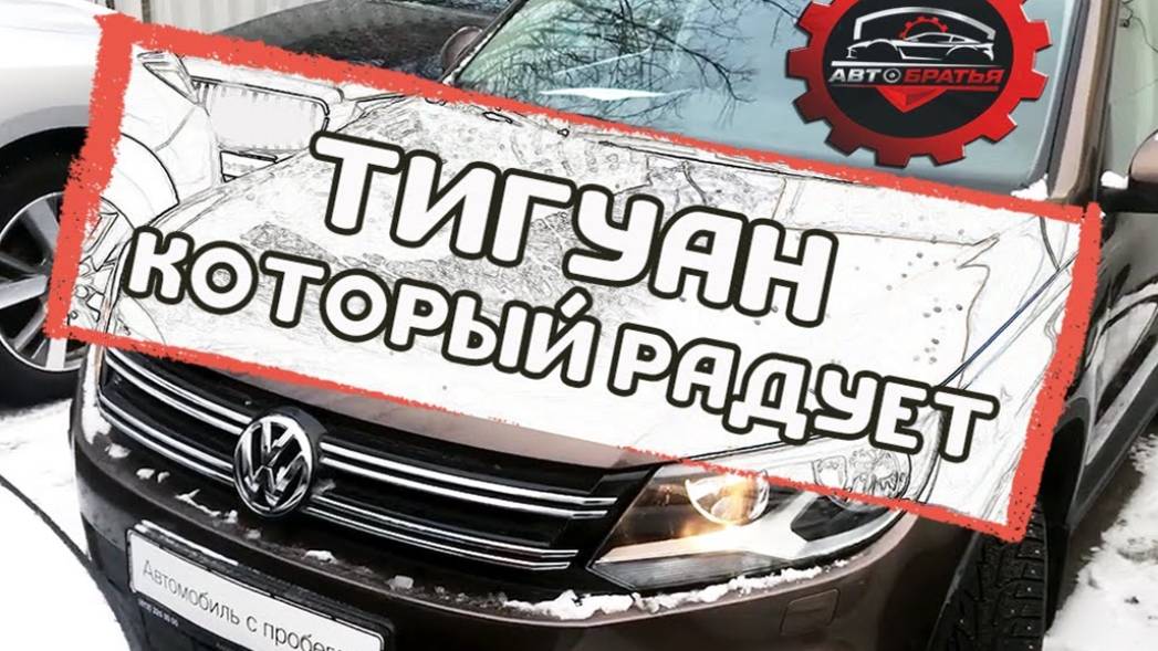Ищем хороший Tiguan c пробегом   Будни автоподбора №3