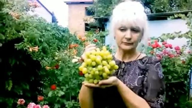 Ах!Виноград,виноград любимый!!!