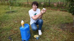 Избавляемся от тли! Эффективный способ борьбы с тлей с помощью препарата JOY "Аккорд"