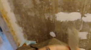 Ремонт стен,туалет ванная Установка дверей