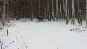 КАРАКАТ - "Зверь"