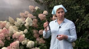 Осенние подкормки сада. Заправляем грядки. Дачные сезоны с Мариной Рыкалиной