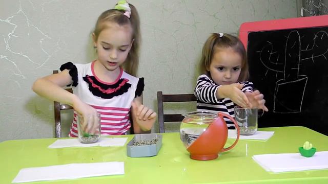 Садим игрушечные кактусы для выращивания в воде/ Planting into water growing cactus toys смотреть онлайн