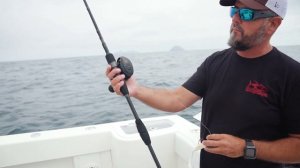 How Do You Gulp? Ali Hussainy San Diego Rockfishing