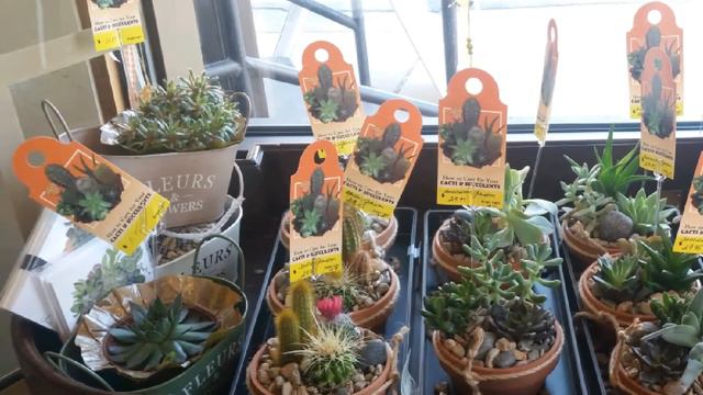 Mother's Day Plants 2018 смотреть онлайн