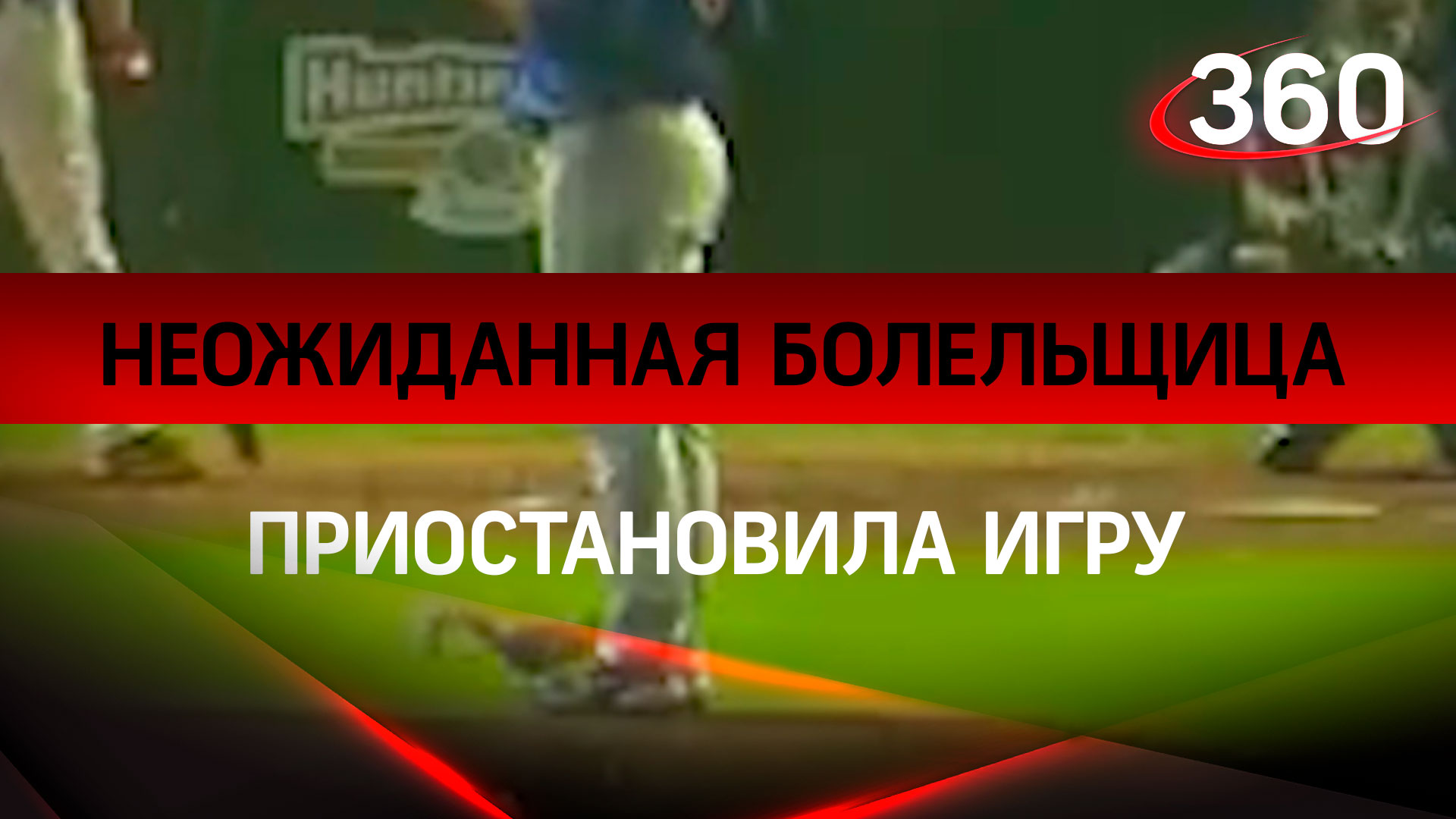 С трибун не видно: неожиданная болельщица приостановила игру