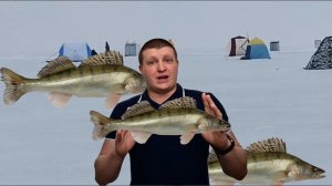 Пурга и ничего не видно! Ловля судака зимой. Выезд на Волгоградское Водохранилище за судаком.