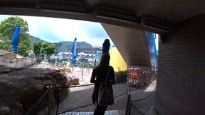 Гонконг. Как пользоваться метро в Гонконге? Что мы увидели в океаническом парке?