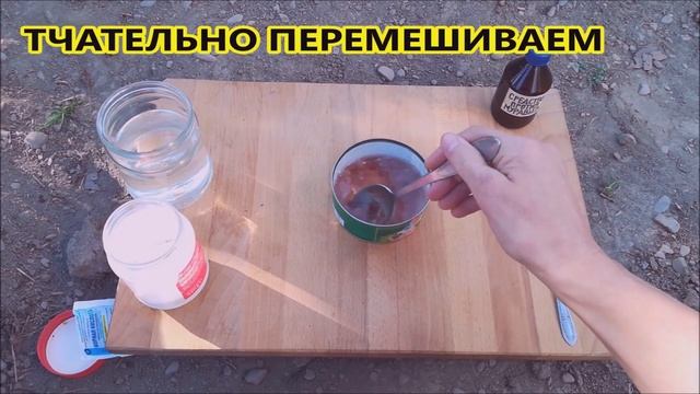 Как избавиться от муравьев на участке