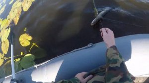 Рыбалка на спиннинг  р.Вобля,всем голодающим "леща"