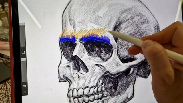 Как нарисовать реалистичную бровь