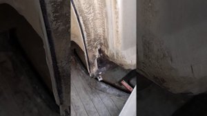 Рено Логан чем остановить ржавчину?
