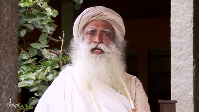 Стоит ли становиться донором органов? смотреть онлайн