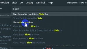 How to install Live Webpage Previewer On Visual Studio Code