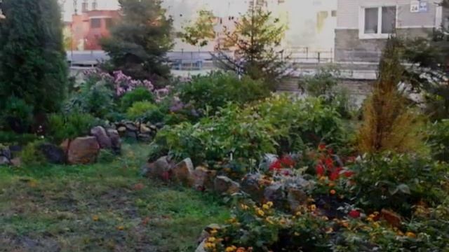 Наш красивый двор …. смотреть онлайн