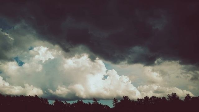 72 М Джалиль Варварство #стихиовойне #поэты20века смотреть онлайн