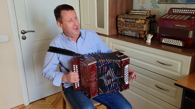 Паша гармонист - Моя ти, голубко, йди сядь біля мене смотреть онлайн