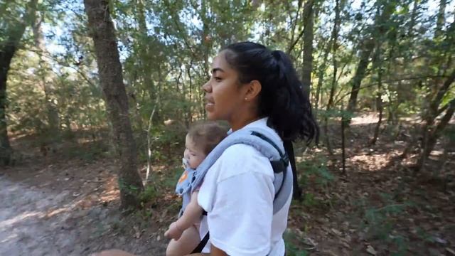 Alligator Attacked Us! смотреть онлайн