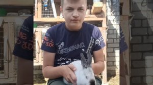 Вздутие у кроликов/ лечения вздутия у кроликов/ кролики.