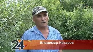 В Набережных Челнах зарегистрирован массовый мор рыбы на реке Шильна