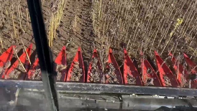 Безрядковая протягивающая жатка подсолнечника Harvester-8400 Оренбургская область