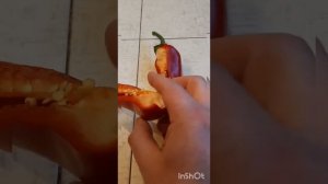 перец Капия.