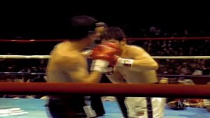 Julio Cesar Chavez Career Highlights