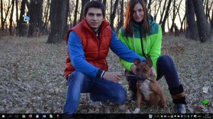 КАК ПЕРЕУСТАНОВИТЬ ДРАЙВЕР