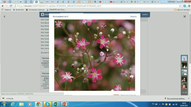 Мастер-Класс "Как создать веточку гипсофилы из фоамира смотреть онлайн