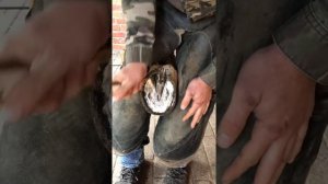 Расчистка гнилой стрелки