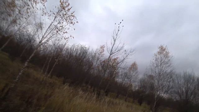 осенья охота на вальдшнепа смотреть онлайн