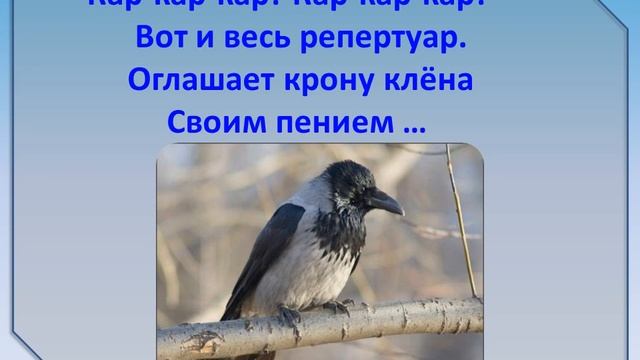 Познавательный видеоролик «Зимующие птицы России»