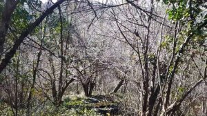 Недвижимость Туапсе  участок у моря за 200к!!! ШОК