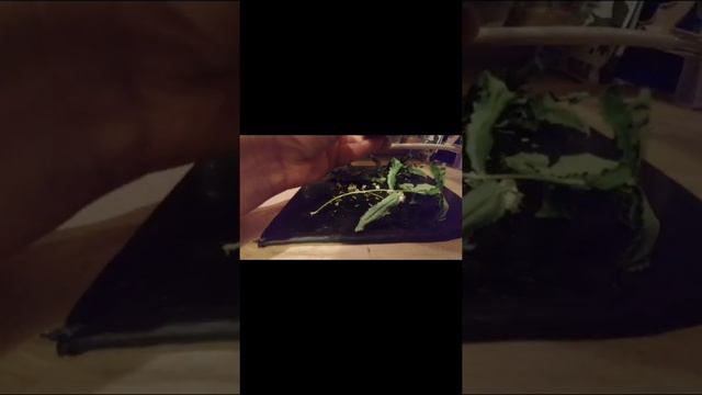 Мастер класс по свече Очищение от негативных эмоций и депрессии смотреть онлайн