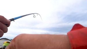 Ловля на ДРОП-ШОТ на Финском заливе.