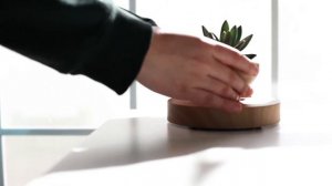 Amazing Floating plant pot, levitating magnetic pot