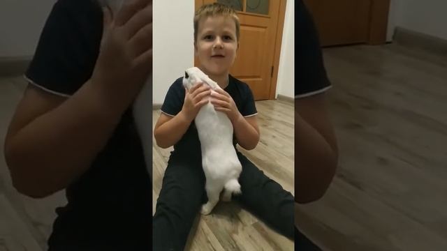 #кролик #уходзакроликом #домашнееживотное #зайчик Как ухаживать за домашним кроликом