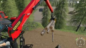 FS19.  Лесозаготовка #2.  Складирование брёвен.