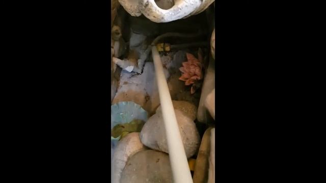 Водопад в летней беседке и фреска на стене смотреть онлайн