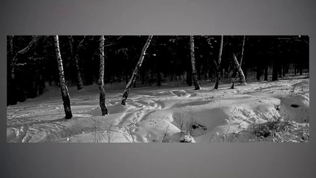 ПНР (Панорама)