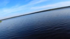 Рыбалка с лодки на поплавок и спиннинг с отводным поводком. Озеро Суходольское.