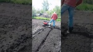 Гусиные лапки