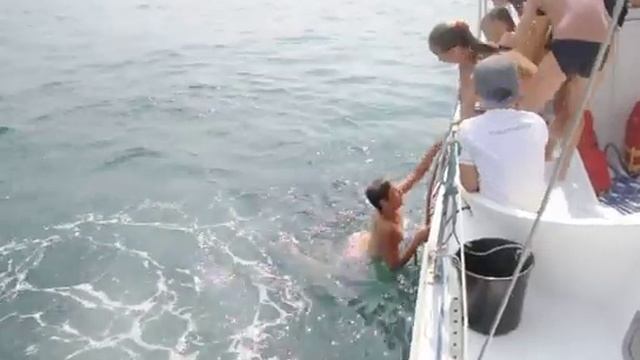 Катание на яхте и купание с борта смотреть онлайн