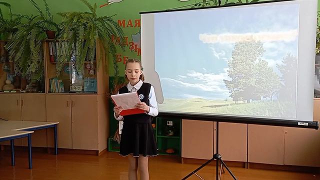 Исследование "Почему деревья не растут до неба" смотреть онлайн