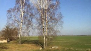 Беларусь. Дороги Беларуси. Дорога Минск - Любань. Белорусские леса, поля, деревеньки / Belarus road