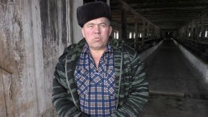 КФХ Вашурина живёт и развивается!