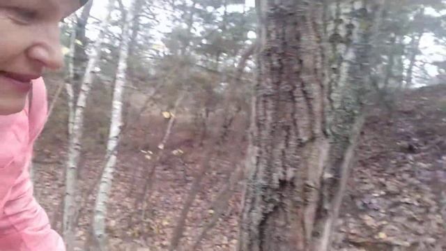 Самарский лес. смотреть онлайн