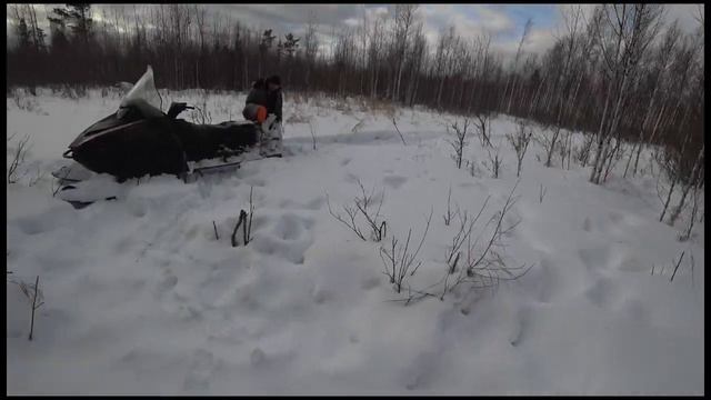 Часть 3, Биотехния, охотхозяйство "Пореченское" смотреть онлайн