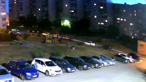 Собаки напали на ребенка